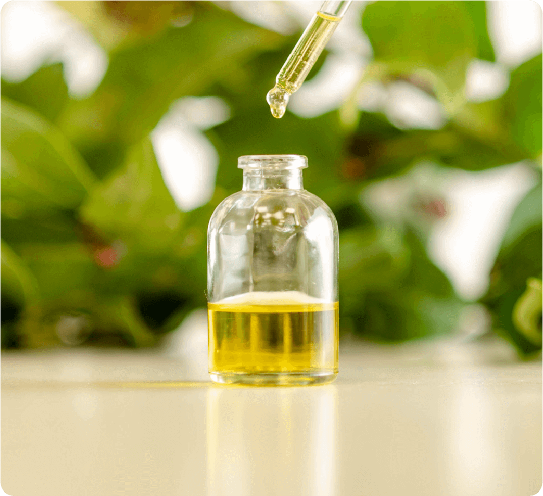 ACEITE