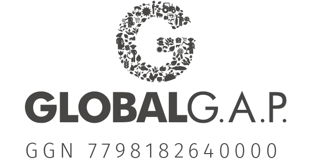 GLOBAL GAP