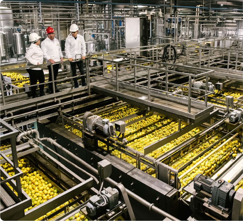 LIDERES EN LA INDUSTRIALIZACION DEL LIMON