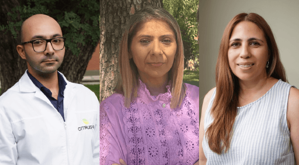 HISTORIAS DE CRECIMIENTO EN GRUPO LUCCI