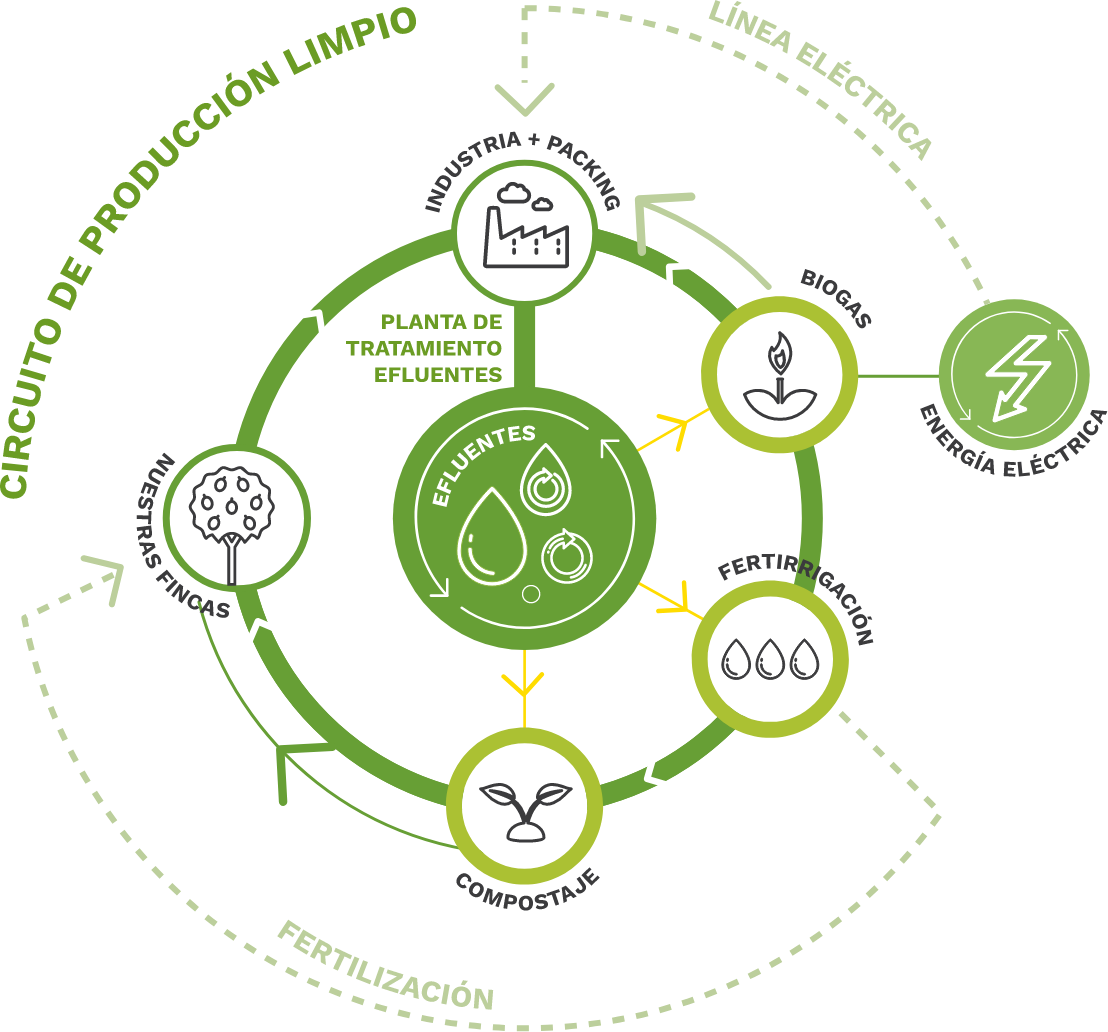 Sustainability, our key word - Citrusvil